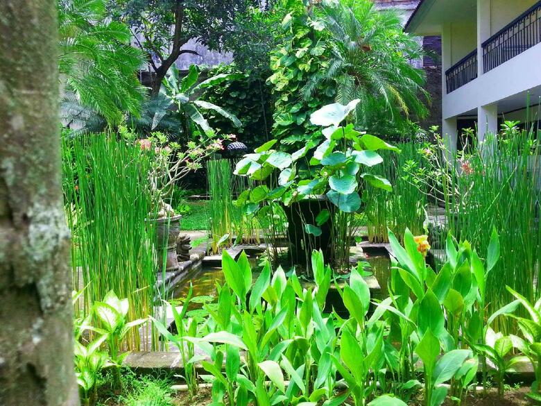 Hotel Legian Paradiso