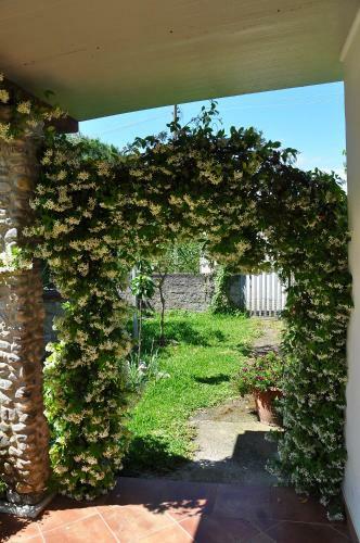 B&B Casa Vacanze Marcella
