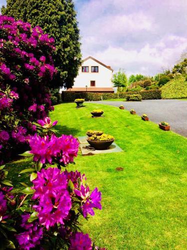 Agroturismo Casa Das Veigas