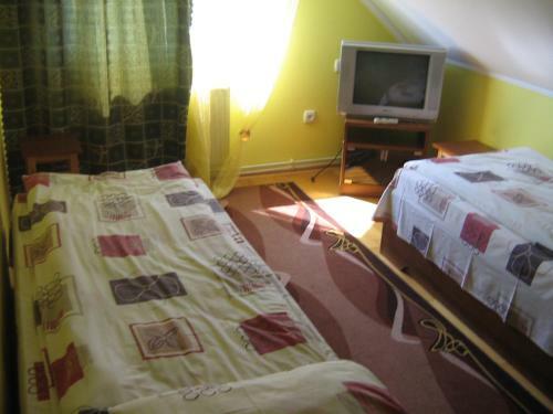 Villa Veselka