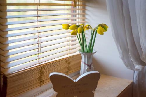 Bed & Breakfast Little Abbey Farm