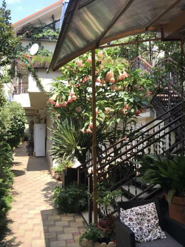 Hostal Guest House Alyans