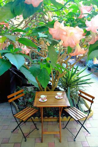Hostal Guest House Alyans