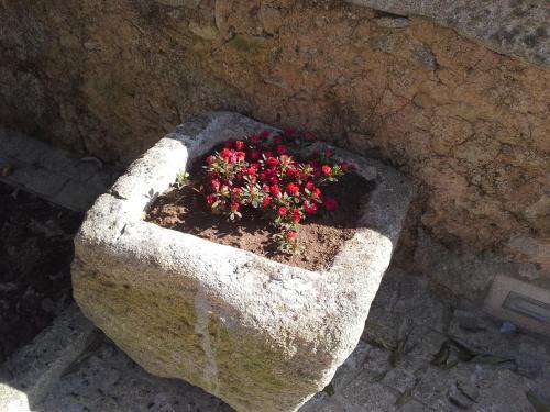 Agroturismo Casas D Aldeia