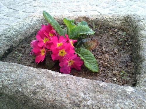Agroturismo Casas D Aldeia