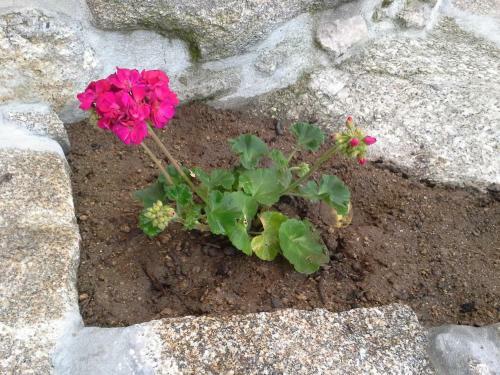 Agroturismo Casas D Aldeia