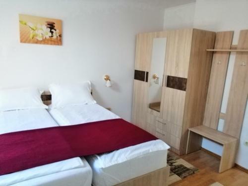 Hostal Casa Pintea