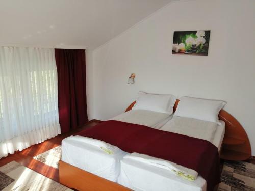 Hostal Casa Pintea