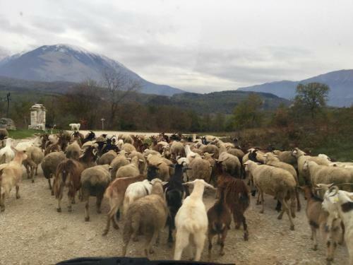 Agroturismo Country House Case Catalano