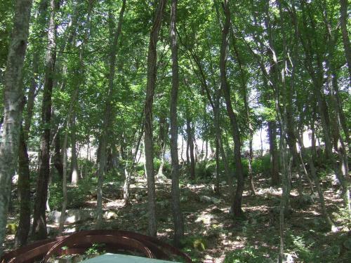 Agroturismo Country House Case Catalano