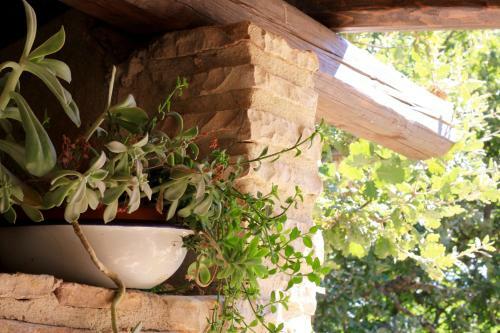 Agroturismo Country House Case Catalano
