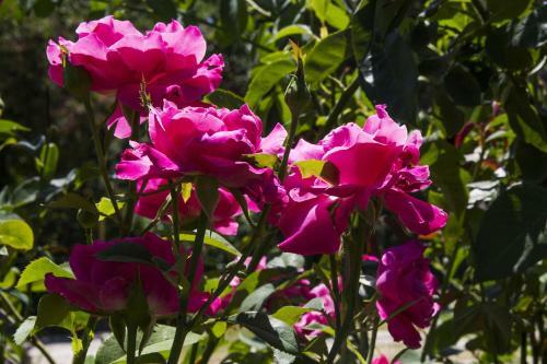 Agroturismo Country House Case Catalano