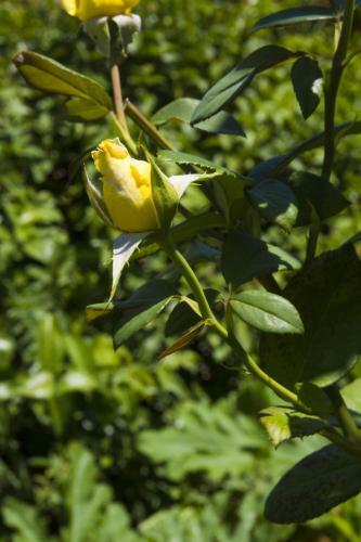Agroturismo Country House Case Catalano