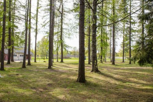 Apartamentos Holiday Linnunlahti
