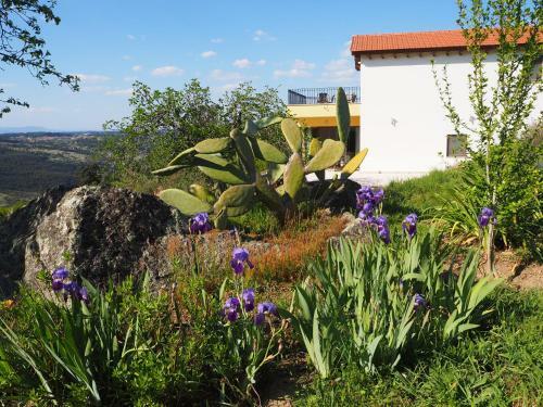 Agroturismo Quinta Vale Porcacho