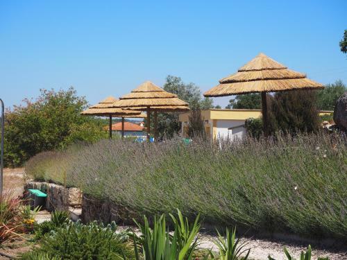 Agroturismo Quinta Vale Porcacho