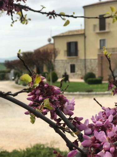 Agroturismo Masseria Grande