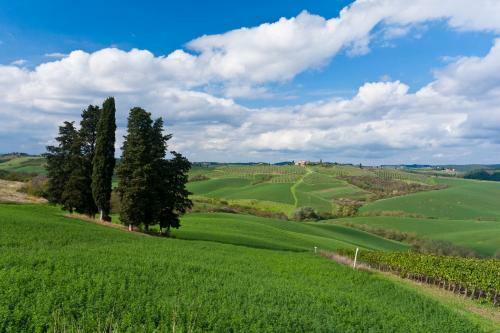 Hostal Agriturismo Casale Dello Sparviero