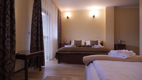 Hostal Pension Musatinii