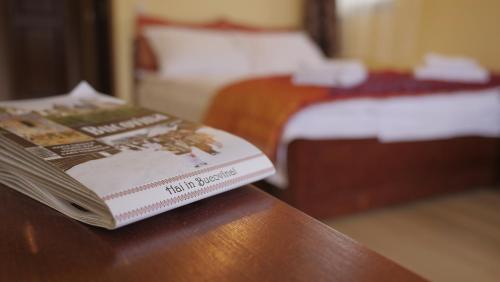 Hostal Pension Musatinii