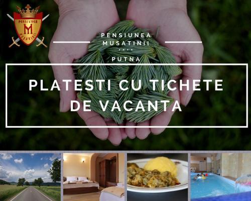 Hostal Pension Musatinii