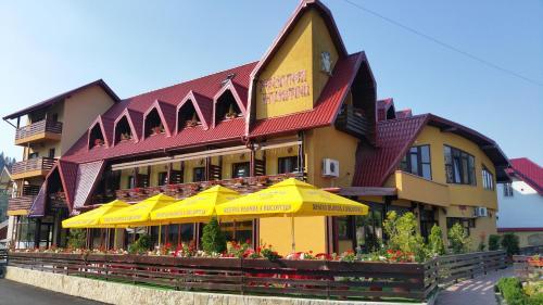 Hostal Pension Musatinii