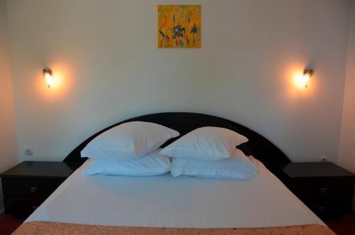 Hostal Vila Paloma Residence Mamaia