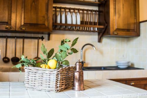 Agroturismo Tenuta Croce Di Bibbiano