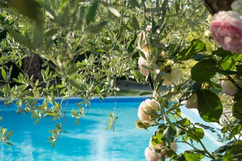 Agroturismo Tenuta Croce Di Bibbiano