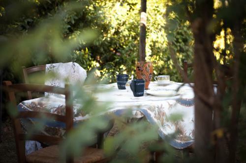Agroturismo Agriturismo Benvenuti