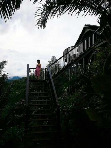 Khaosok Discovery Boutique Camps