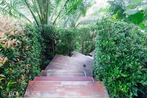 Khaosok Discovery Boutique Camps