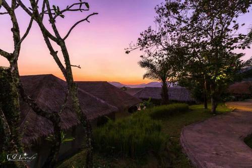 Khaosok Discovery Boutique Camps