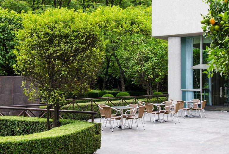 Hotel Sheraton Santa Fe Mexico City