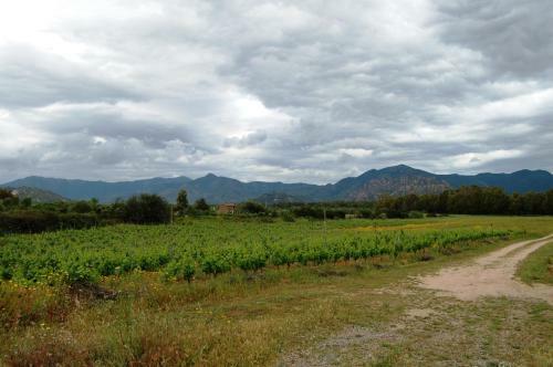 Agroturismo I Carrubi