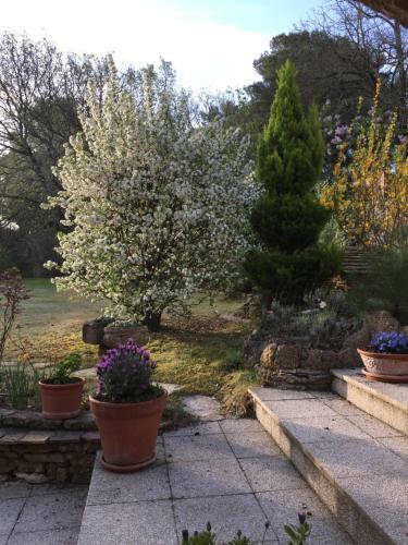 Bed & Breakfast Le Mas Des Ch�nes