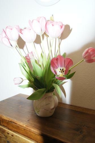 Bed & Breakfast Le Mas Des Ch�nes