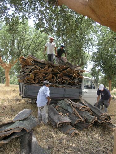 Agroturismo La Casa De Los Arribes