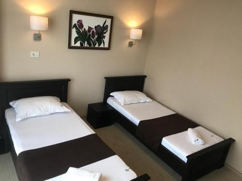 Hostal Pensiunea Violeta