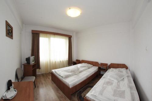 Hostal Pensiunea Pui De Urs Sirnea