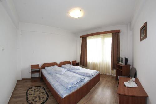Hostal Pensiunea Pui De Urs Sirnea