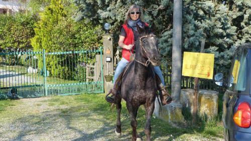 Agroturismo Agriturismo Il Rifugio