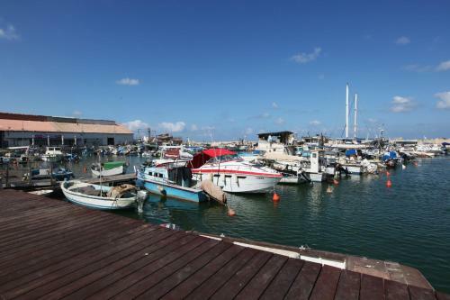 Apartamento Andromeda Hill Holiday Suites