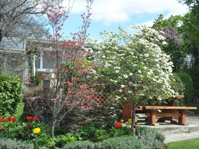 Alexandra Garden Court Motel