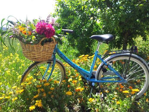 Agroturismo Casa Rural Basaula