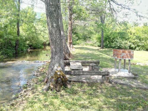 Galesic Apartments & Rooms