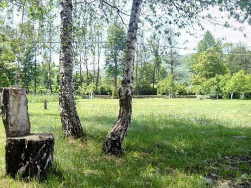 Galesic Apartments & Rooms