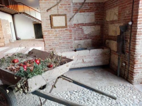 Hostal Agriturismo La Sophora