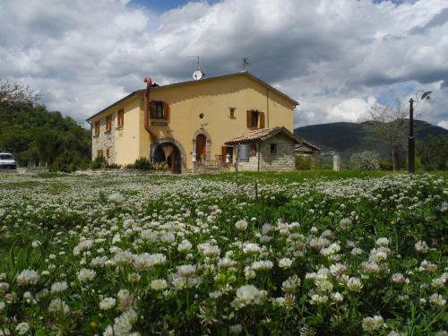 Agroturismo Agriturismo Villa Furlo