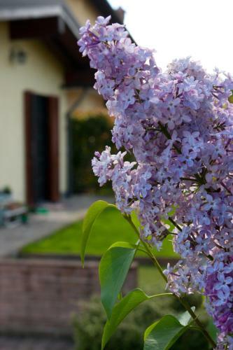 Bed & Breakfast Il Sole Del Borgo